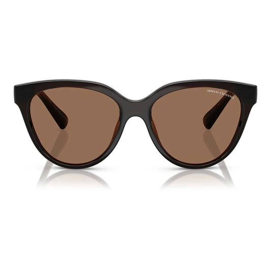 Armani Exchange Brown Injected Sunglasses