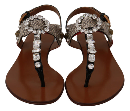 Sandali infradito in pelle Ayers e cristalli Dolce & Gabbana