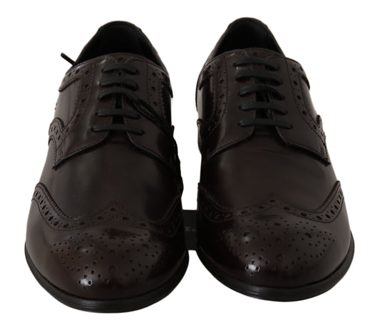 Scarpe Oxford con punta a coda di rondine Dolce & Gabbana in pelle marrone Broques