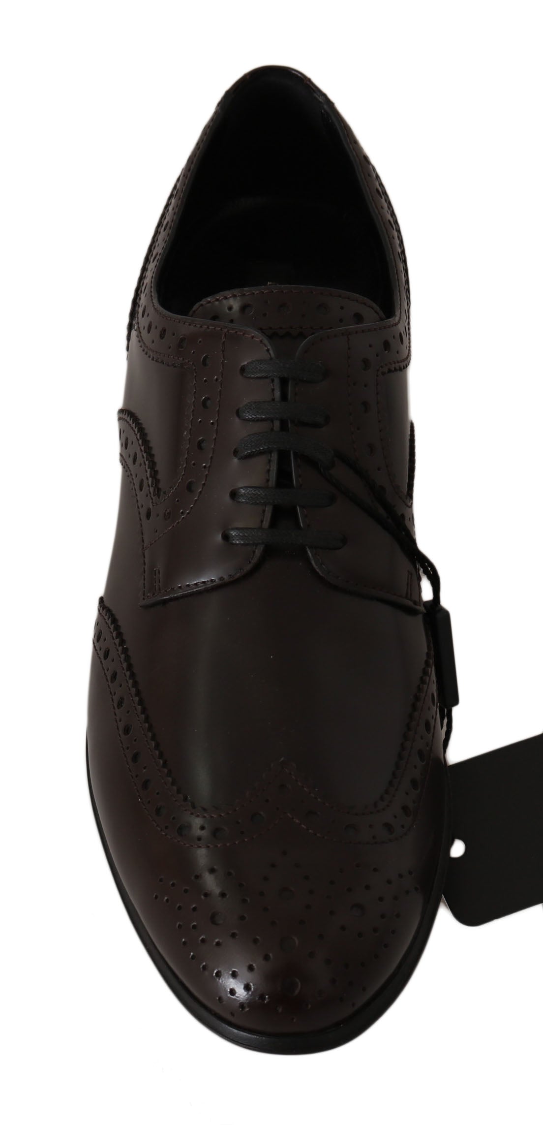 Scarpe Oxford con punta a coda di rondine Dolce & Gabbana in pelle marrone Broques