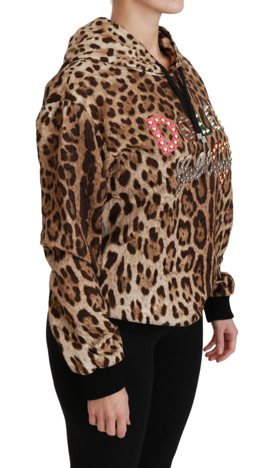 Maglione con cappuccio marrone e borchie in Ayers leopardato Dolce &amp; Gabbana