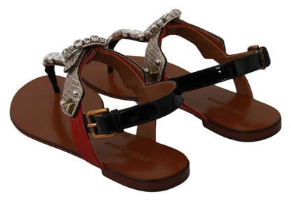 Sandali infradito in pelle Ayers e cristalli Dolce &amp; Gabbana