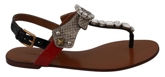 Sandali infradito in pelle Ayers e cristalli Dolce &amp; Gabbana
