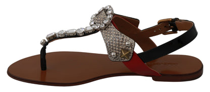 Sandali infradito in pelle Ayers e cristalli Dolce &amp; Gabbana