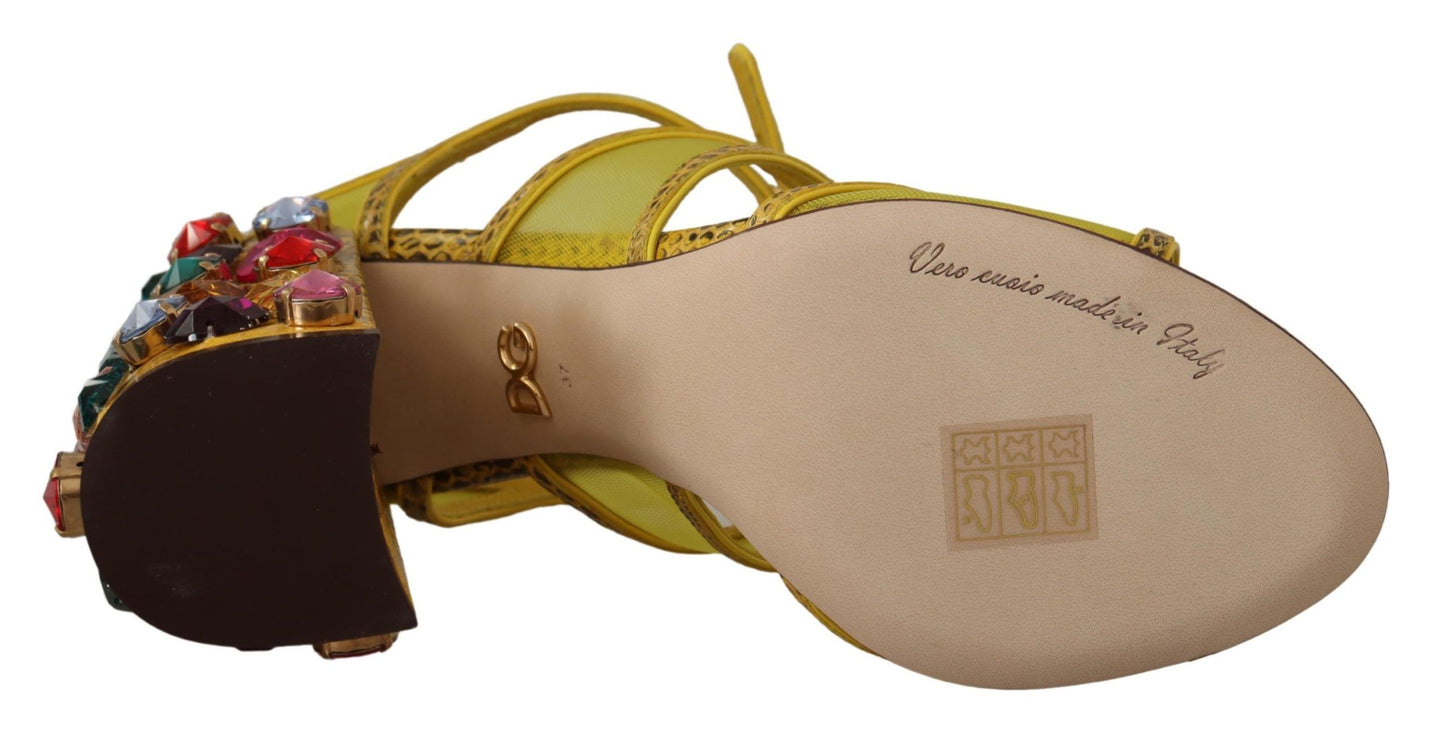 Sandali in pelle gialla con cristalli Ayers di Dolce &amp; Gabbana