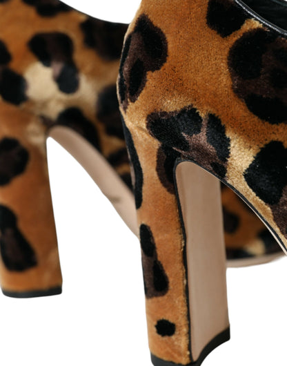 Dolce &amp; Gabbana - Stivaletti con lacci in pelliccia leopardata marrone