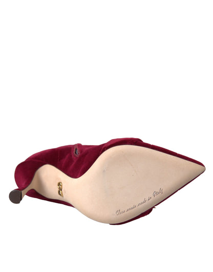 Scarpe con stivaletti Devotion Buckle in velluto rosso scuro Dolce &amp; Gabbana