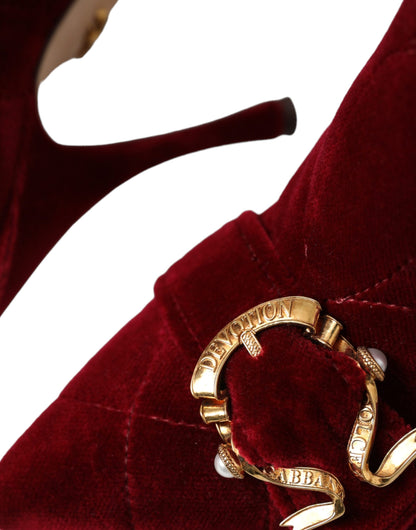 Scarpe con stivaletti Devotion Buckle in velluto rosso scuro Dolce &amp; Gabbana