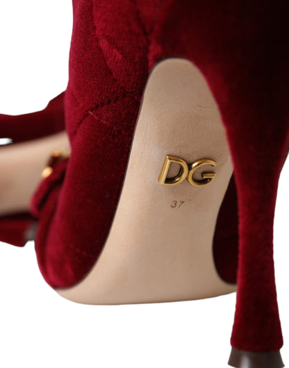 Scarpe con stivaletti Devotion Buckle in velluto rosso scuro Dolce &amp; Gabbana