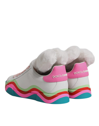Dolce &amp; Gabbana Multicolor Low Top Sneakers Shoes