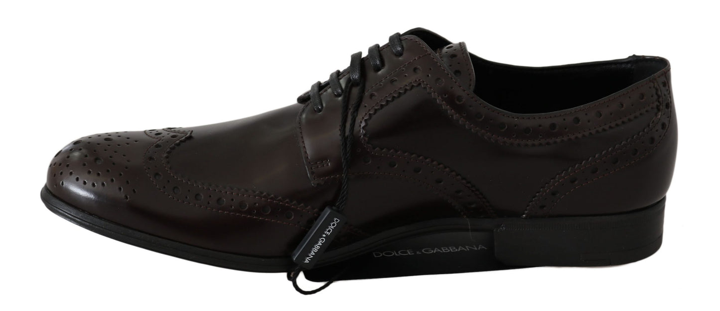 Scarpe Oxford con punta a coda di rondine Dolce &amp; Gabbana in pelle marrone Broques