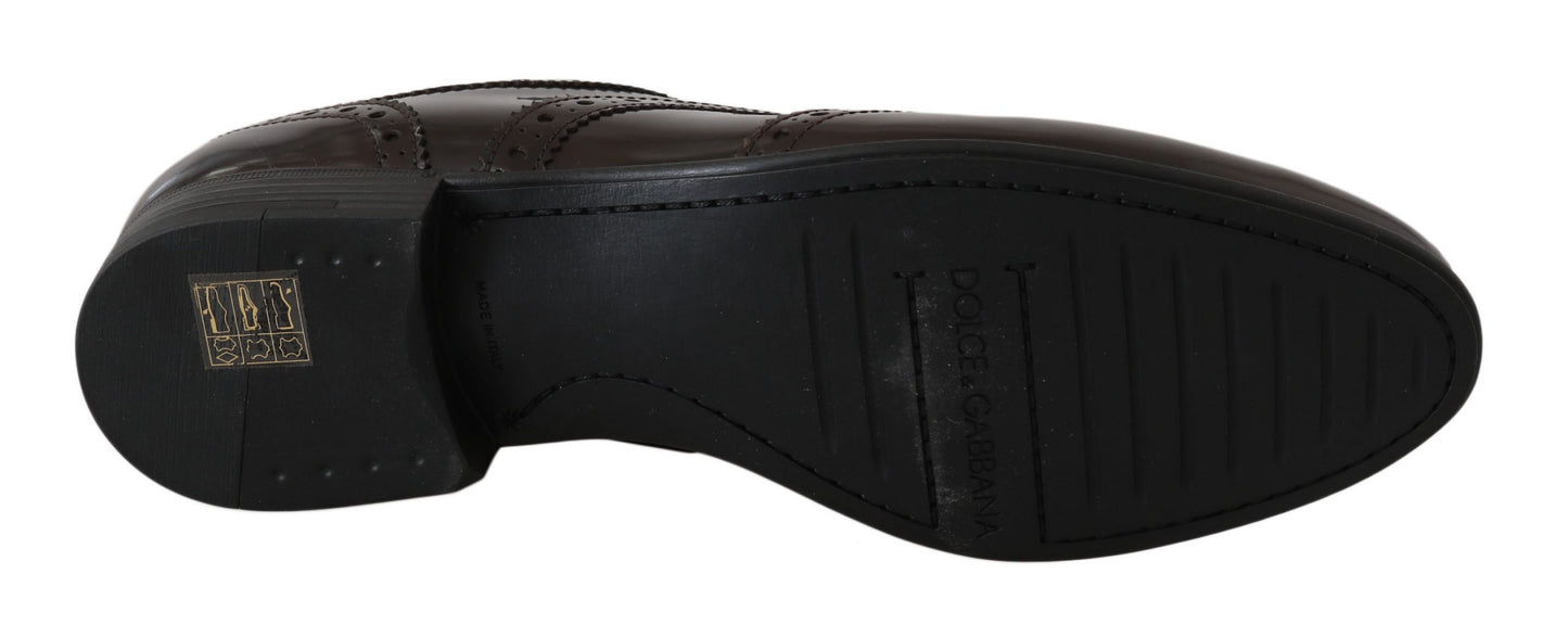 Scarpe Oxford con punta a coda di rondine Dolce &amp; Gabbana in pelle marrone Broques
