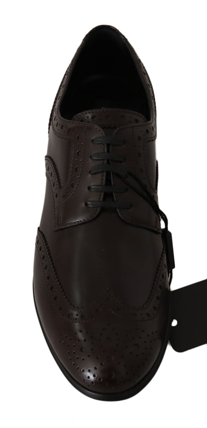 Scarpe Oxford con punta a coda di rondine Dolce &amp; Gabbana in pelle marrone Broques